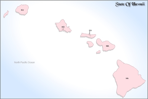 Product picture USA Hawaii