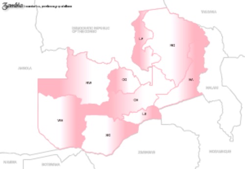 Product picture Zambia