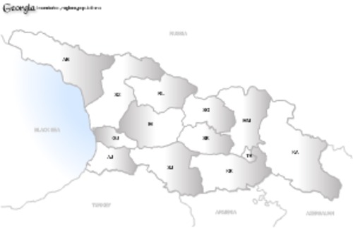 Product picture Georgia